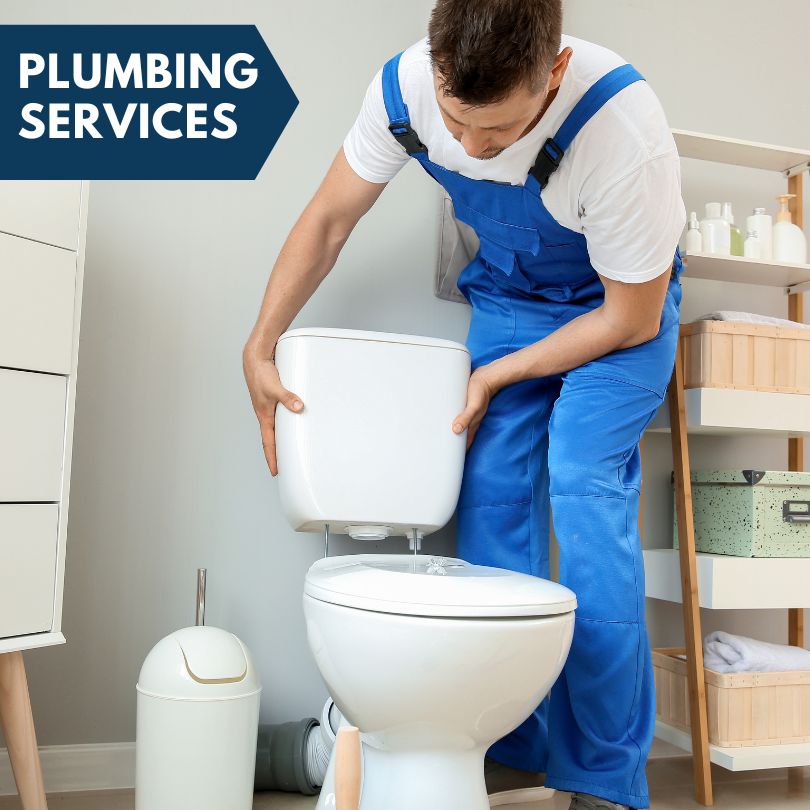 Plumbing Company in Lovilia, IA